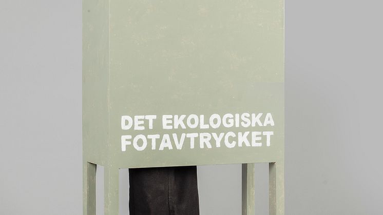 Det ekologiska fotavtrycket – Ville Högström