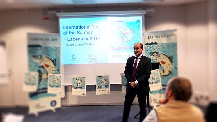 Under torsdagen den 29 november invigde Jakob Granit, generaldirektör på HaV Laxens år 2019. 