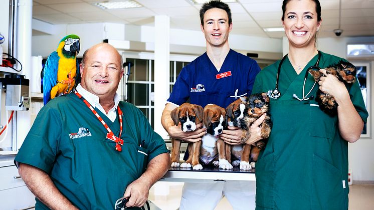 Veterinär Jannis Lundgren, Ashley Jury och Marie Jury från Väsby Djursjukhus