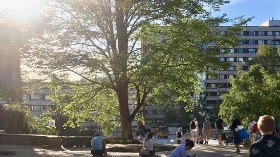 Bli med på offisiell åpning og omvisning på torget, i frukthagen, i treningsparken og vannparken! Uteområdene får også hinderløype, sandvolleyballbane og ballbinge.