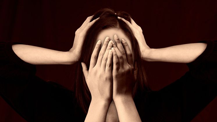 Problem med hjärnans rensing av hjärnkopplingar kollas till psykiska sjukdomar hos ungdomar Foto: Pixabay CC0