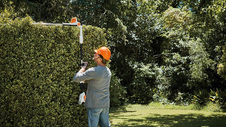 Hækpleje - tips fra STIHL