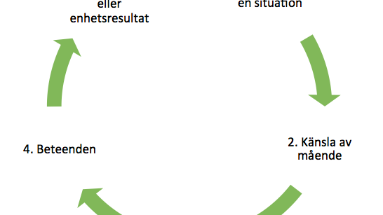 Modell: Den process som alla medarbetare på en arbetsplats går igenom