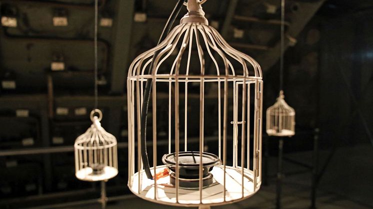 Significant Birds by Nye Parry