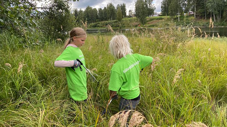 Älvstädningen Dalälven, Flickor från Dala-Floda IF