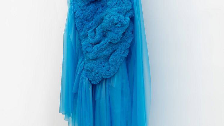 Hanne Friis. The Sky is the Limit