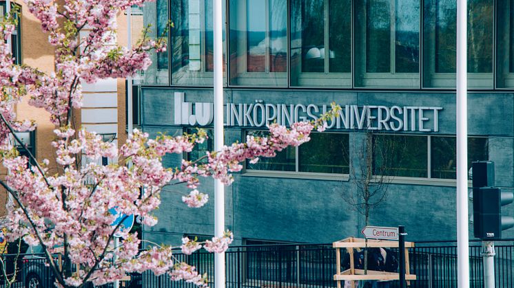 Sommartips från Linköpings universitet