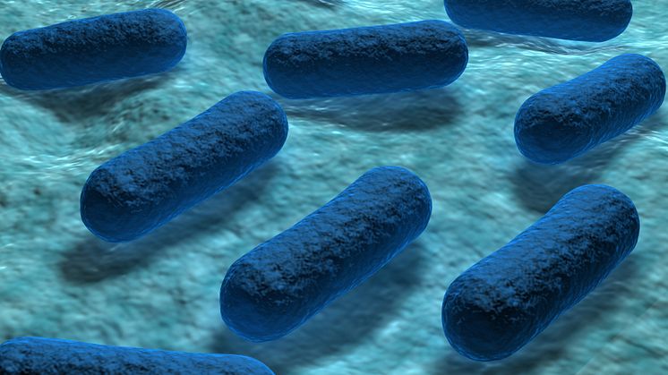 Små upptäckter kan göra stor skillnad – Crohns sjukdom samt blodförgiftning och resistens i centrum när Läkaresällskapet delar ut priser