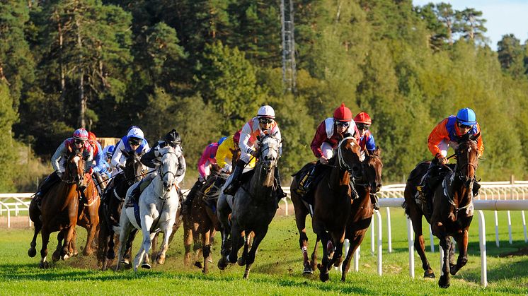 ​​​Sista tävlingsdagen på Täby Galopp – Tribute Day 18 maj
