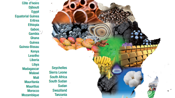African Economic Outlook 2013-2014