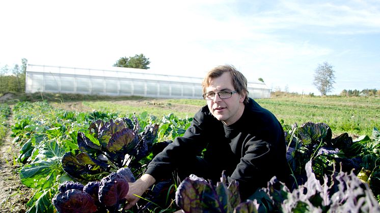 Smarta samarbeten viktiga för lönsam odling