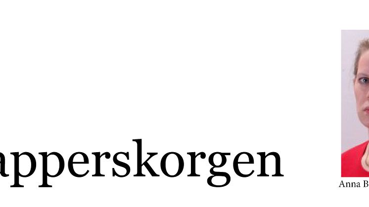 ​Kasta LSS-utredningen i papperskorgen!