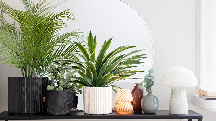 Rusta_2023_S3_Pot_plants-I