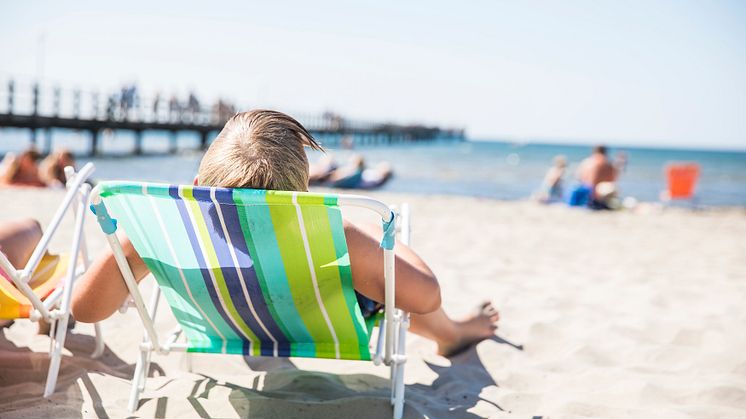Strandliv på Skrea strand