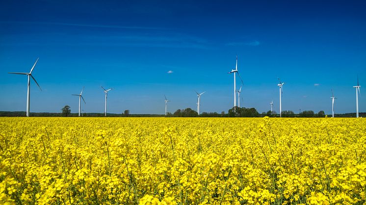 Windpark in Quarnstedt: Prokon erhält Genehmigung für Repowering. 