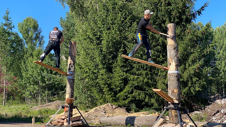 Ferry Svan satte ny svensk rekord i Springboard under kvalikkonkurransen 15. august. Foto: STIHL TIMBERSPORTS®.