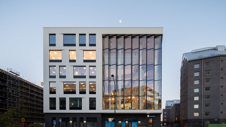 Dungen exteriör 2