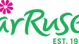 Vår Ruset i Gävle