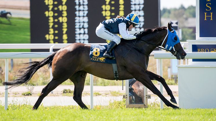 Women Jockeys' World Cup 2018: Josefin Landgren