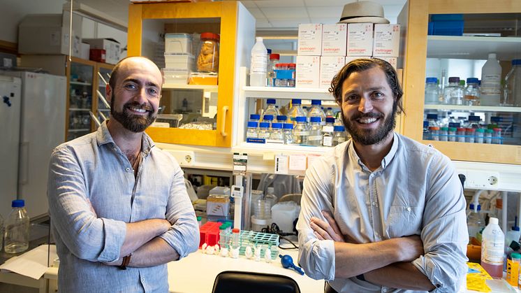 Pierfrancesco Pagella och Claudio Cantù vid Linköpings universitet. Foto: John Karlsson/Linköpings universitet