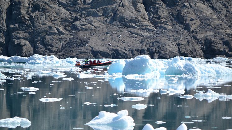 Greenland - Qoroq Ice Fjord Shore Tour in Narsarsuaq