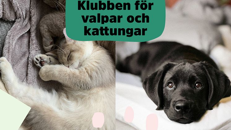 ​Arken Zoo satsar på valpar och kattungar med uppgraderad kundklubb