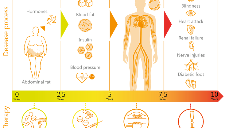 Grafik Metabolisches Syndrom 4Phasen 2023_09.png