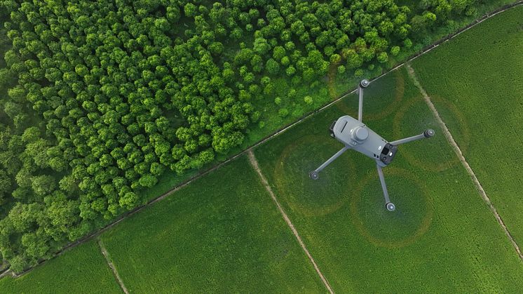 DJI Mavic 3 Multispectral from above