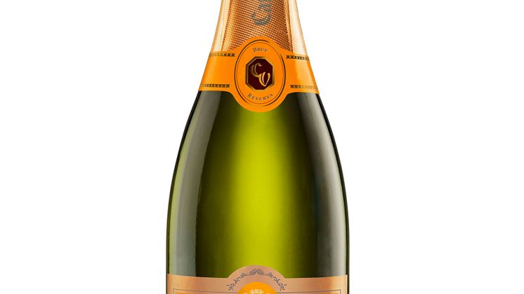 Campo Viejo Brut Reserva