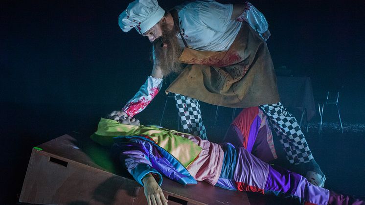 Framsyningsfoto Pinocchio