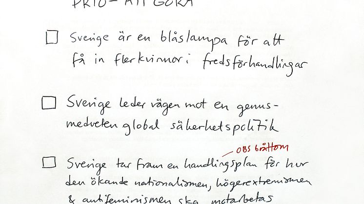 Så kan Sveriges nya utrikesminister gå till historien