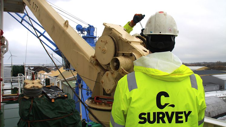 C Survey
