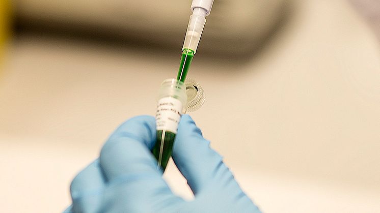 Metoden som Kajsa Paulsson och hennes kollegor använder innebär att DNA från enskilda celler sekvenseras.jpeg