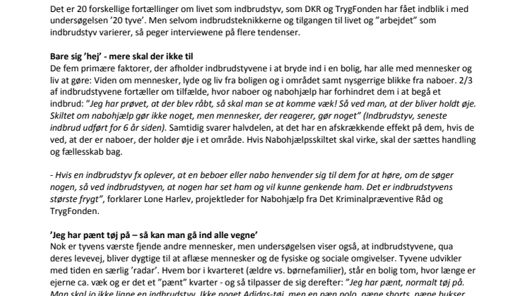 Indbrudstyve i ny undersøgelse: Det bedste våben mod indbrud er mennesker