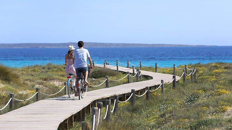 bicis ibiza.jpg