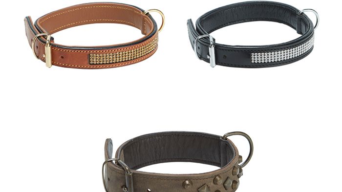 Så väljer du rätt halsband till din hund