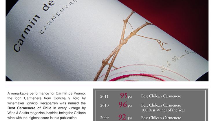 Carmín de Peumo 2011 - Världens bästa Carmenere