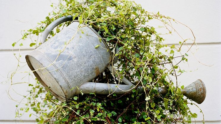 Blomstrande trädgårdsdagar på NK Göteborg