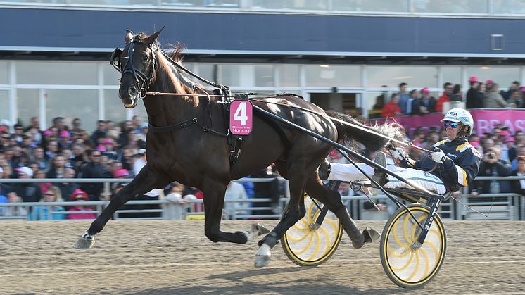 OS-hjältarna enade: Nuncio vinner Olympiatravet