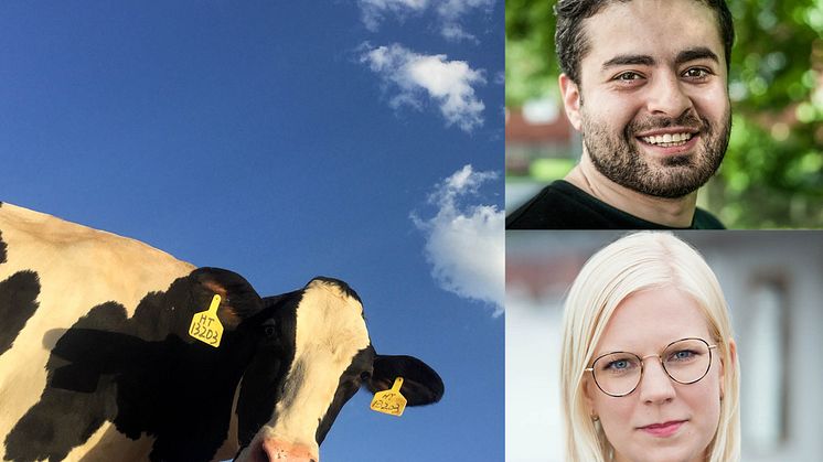 Karin Ernlund och Hamid Ershad Sarabi 