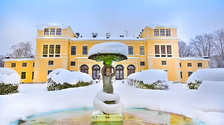 Slottets baksida i vinterskrud