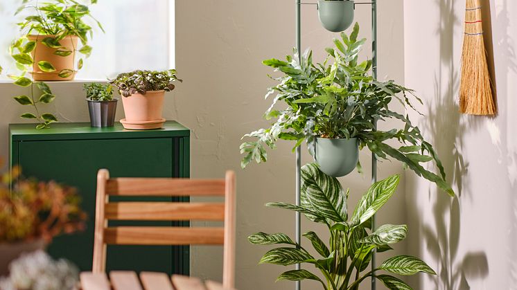 DAKSJUS plantestander 399 DKK (1)