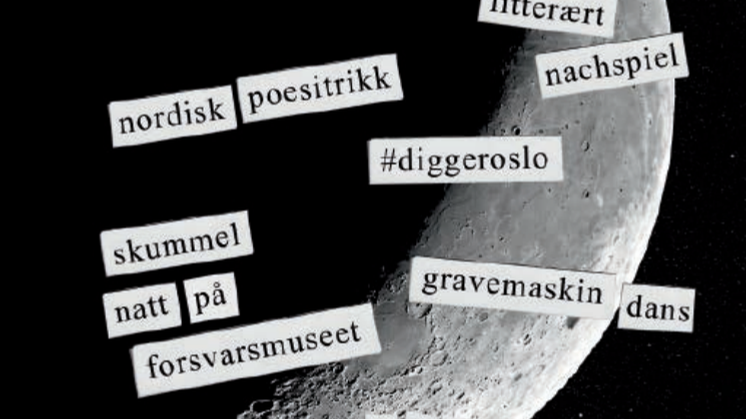 Program, Oslo kulturnatt