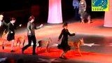 World Dog Show 2008