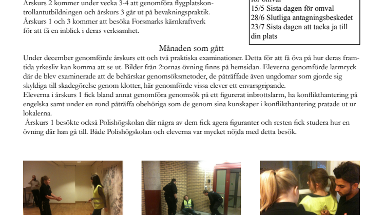 Nyhetsbrev 01-2013