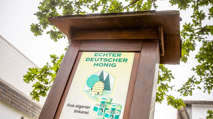 Bienenpatenschaft_burgbad_05