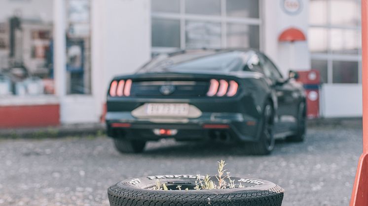 Mustang Bullitt