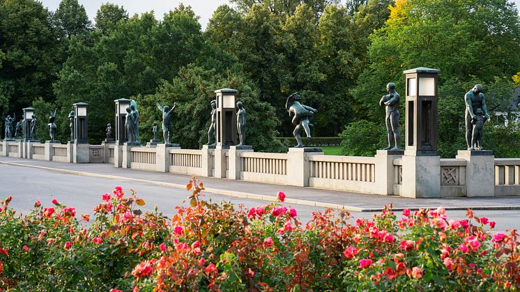 The Vigeland Park The Bridge