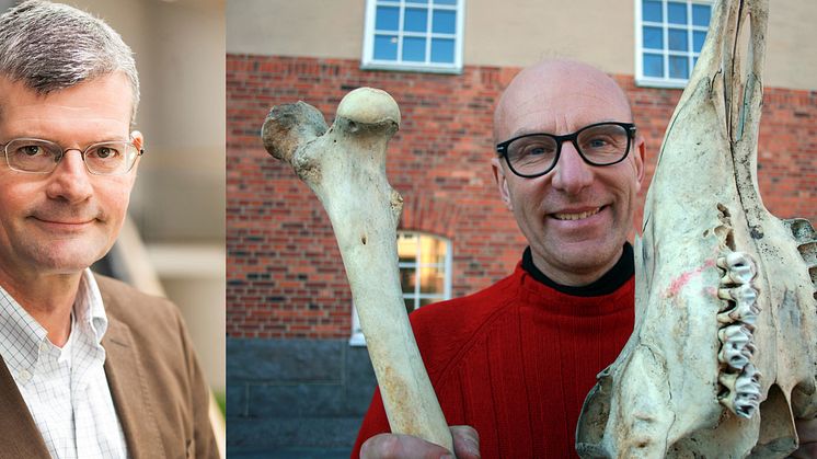 Ny rektor anställd av regeringen + Bygg älg eller app på högskolans öppet hus