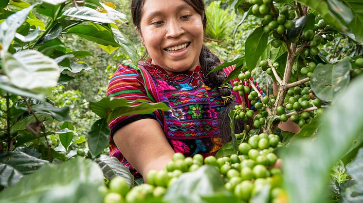 Guatemala1